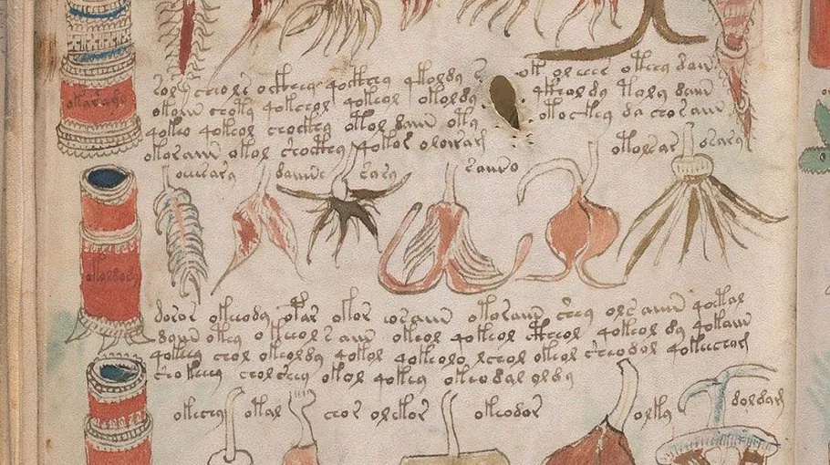 Manuscrito Voynich